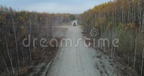 秋路车的天景秋天森林中乡间小路的鸟瞰图森林和公路视频的预览图