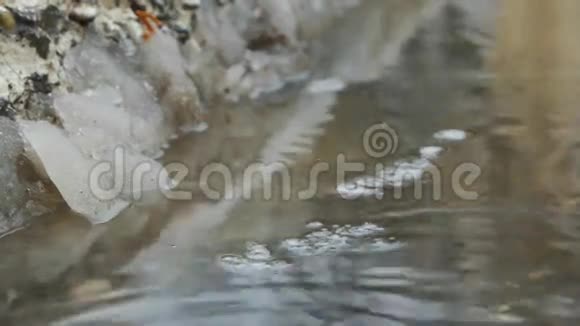 春天的水坑里有冰和滴水对角线组合文本地点视频的预览图