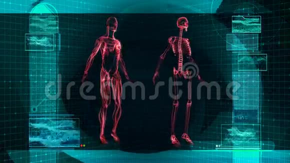 数字X射线人体扫描HD视频的预览图
