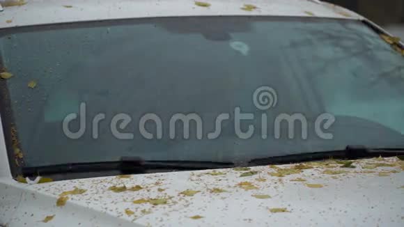 脚踏挡风玻璃雨刷清洁玻璃是在车里从树叶和雨4K视频的预览图