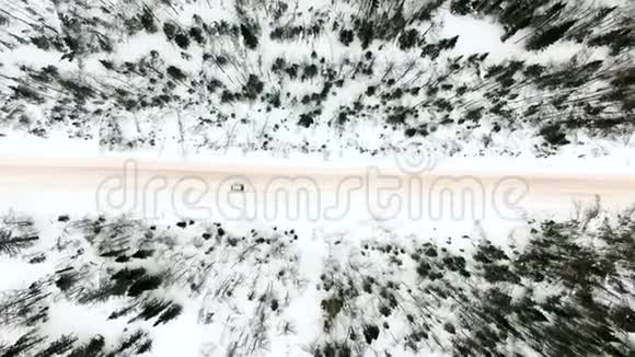 在白雪皑皑的森林里骑着车视频的预览图