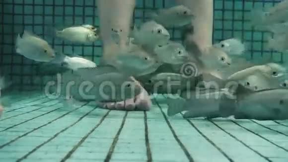 水下鱼水疗踏板特写视频的预览图