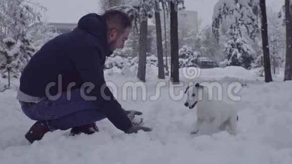 男子玩杰克罗塞尔猎犬在雪小狗快乐快乐视频的预览图