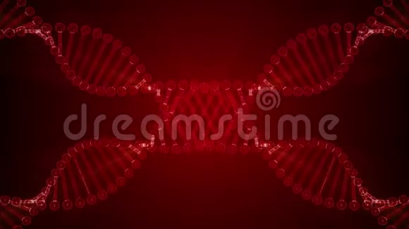 暗红色背景上的两个旋转DNA分子遗传学概念3D呈现可循环动画4K段视频的预览图