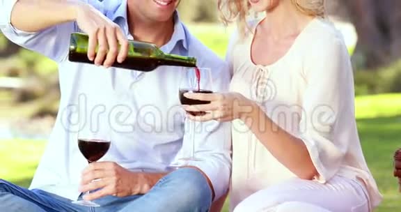 快乐的一对情侣在酒杯里倒红酒视频的预览图