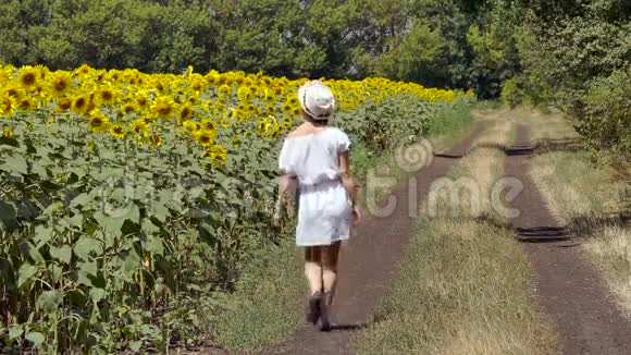 女人跑过马路靠近一片向日葵视频的预览图