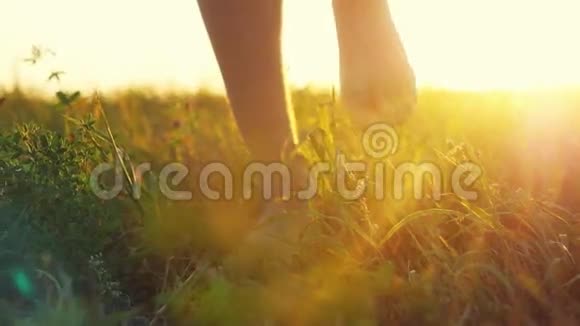 在美丽的日落中阳刚的双脚光着脚穿着阳光穿过柔软的草地发出强烈的耀斑效应视频的预览图