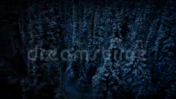 飞过去的冰冻荒野树视频的预览图