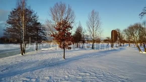 鸟瞰日落时在公园上空飞雪视频的预览图