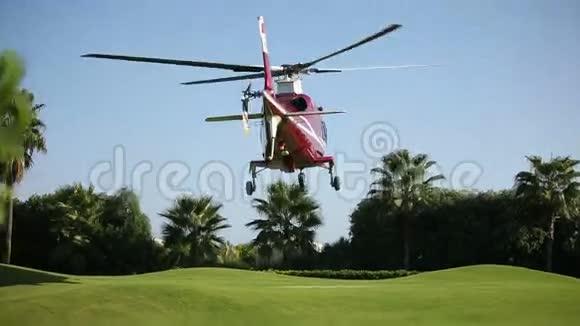直升机降落在美丽的绿色垫上序列视频的预览图