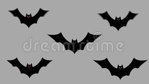 卡通万圣节蝙蝠移动他们的翅膀阿尔法频道视频的预览图