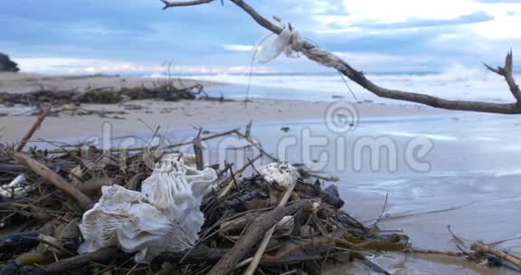 海洋海滩的塑料垃圾废水污染视频的预览图