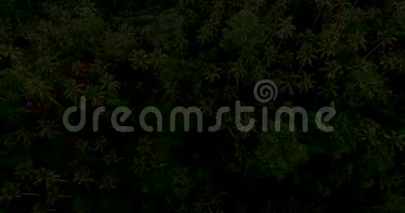 巴厘岛乌布德附近日落时米台的空中镜头视频的预览图