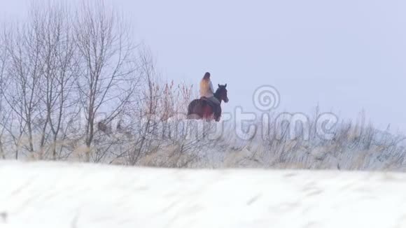 马术运动在雪地户外骑马的妇女视频的预览图