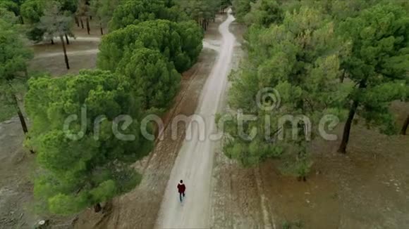 山林碎石路高空拍摄视频的预览图