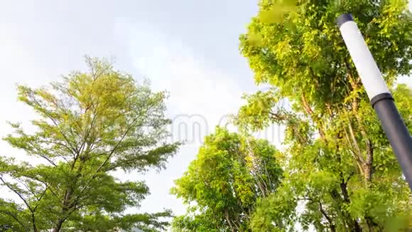 黄昏的天空到黄昏的黑暗时间流逝视频的预览图