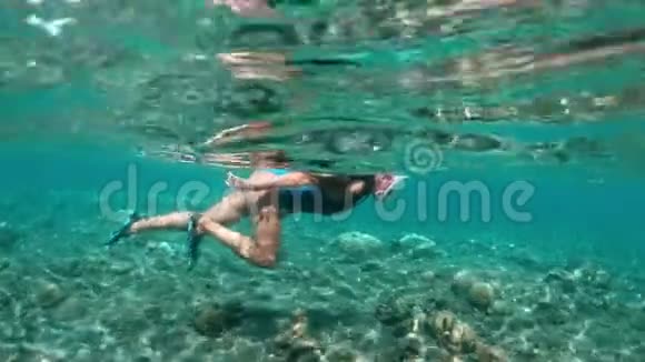 年轻女士在热带海域的珊瑚礁上浮潜戴口罩的女人在清水中浮潜视频的预览图