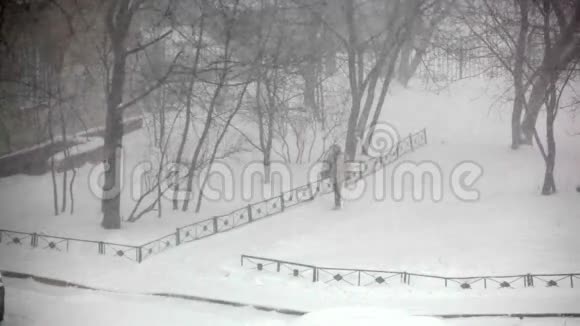 城市里下着大雪视频的预览图