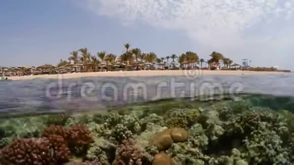 水下水面珊瑚鱼和度假海滩的海景视频的预览图