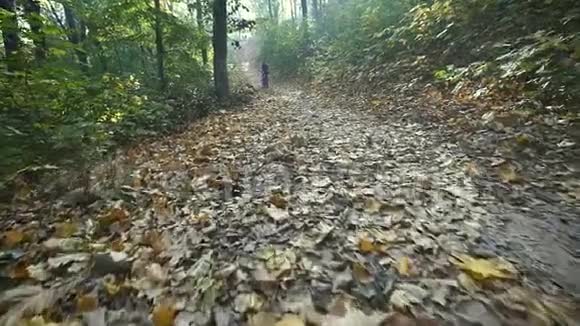 骑自行车的人在森林里经过骑自行车的人在森林里经过慢动作视频的预览图