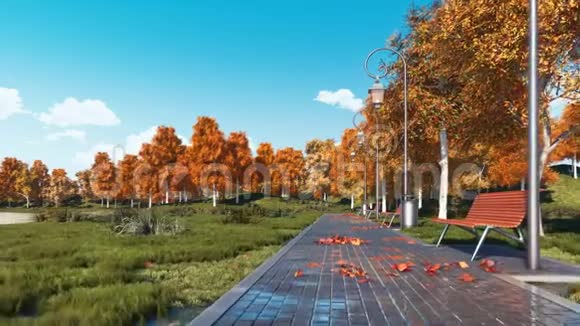 城市公园有长椅和秋树的人行道视频的预览图