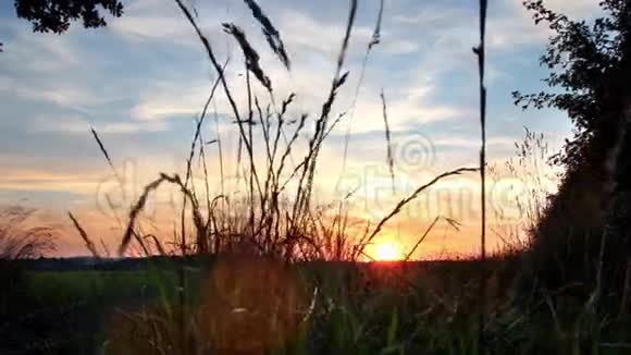 4的K乡村日落在一个绿色的田野在自然和良好的云层背景视频的预览图
