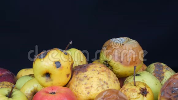 五彩烂烂成熟的苹果在黑色背景视频的预览图