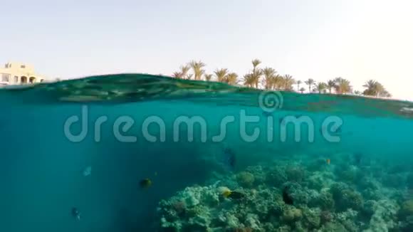 水下水面珊瑚鱼和度假海滩的海景视频的预览图