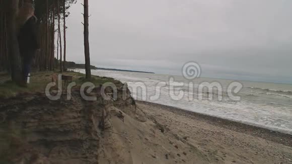 女人在森林里散步在波罗的海上看视频的预览图