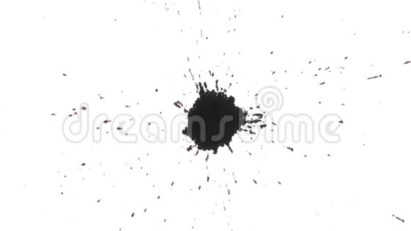 两滴墨水滴在白色背景上视频的预览图