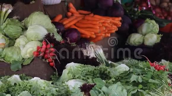伊斯坦布尔新鲜健康生物茴香和胡萝卜视频的预览图