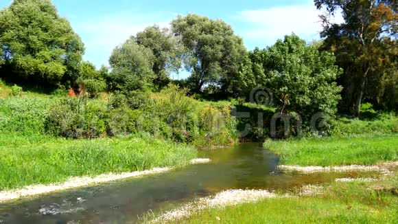 河流穿越绿色草地背景是树木4K视频的预览图