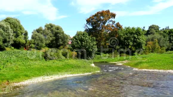 河流穿越绿色草地背景是树木4K视频的预览图