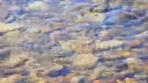 河流的新鲜水流和清澈的水4K视频的预览图