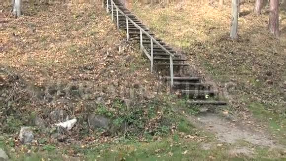 山楼梯树秋视频的预览图