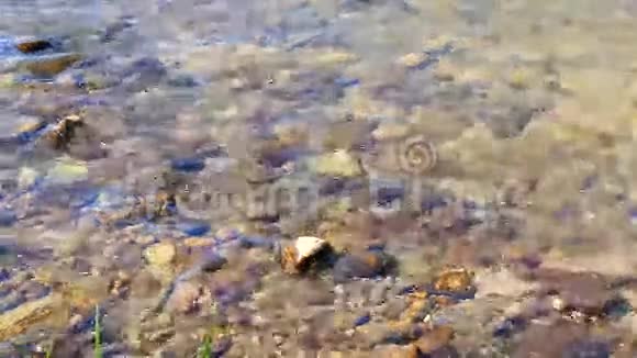河流的新鲜水流和清澈的水4K视频的预览图