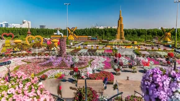 迪拜奇迹花园在阳光明媚的日子里花超过4500万朵阿拉伯联合酋长国视频的预览图