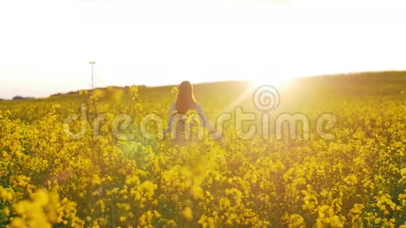 美丽的女孩在夕阳下漫步在花田视频的预览图