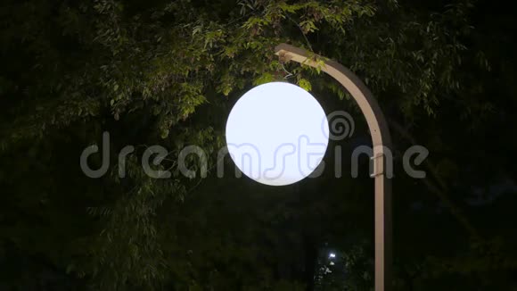 夜城树木背景上美丽的路灯视频的预览图