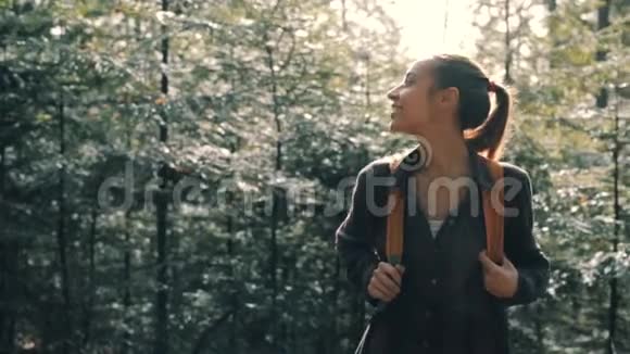 在松树林的小径上散步的女徒步旅行者视频的预览图
