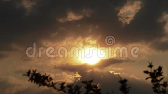 多云的日落和模糊的树枝视频的预览图