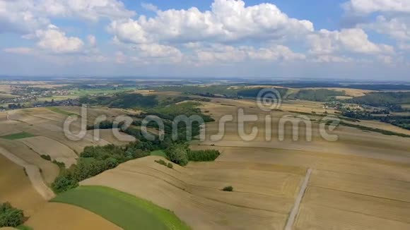 波兰夏季收获场景观的鸟瞰图视频的预览图