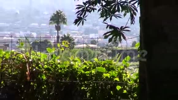 从古色古香的窗户穿过热带城市全景视频的预览图