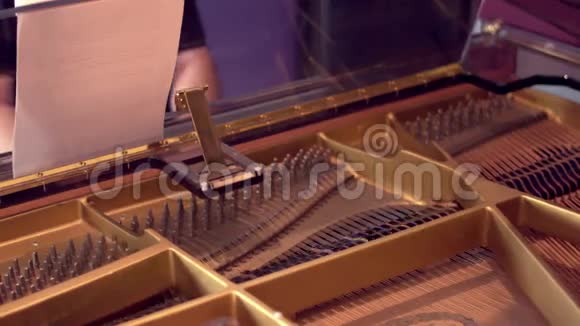 大钢琴录音会议视频的预览图