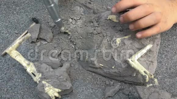 小孩从石头上挖恐龙骨头视频的预览图