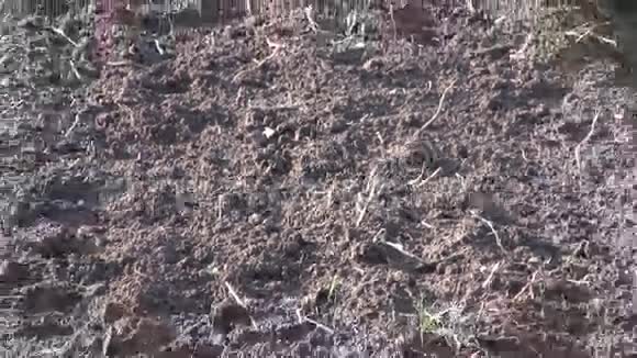 农田土壤和道路视频的预览图