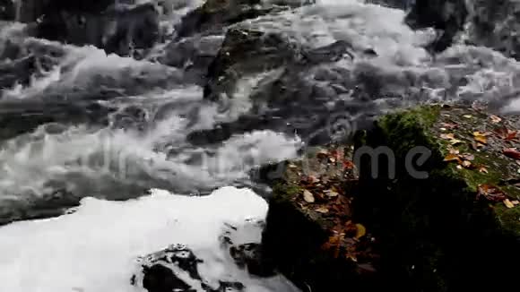 水流在大石头上视频的预览图