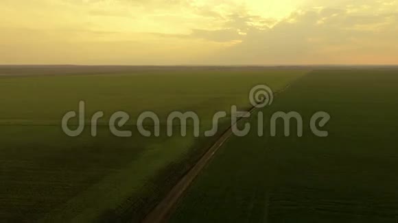 绿色田野背景下金色日落的鸟瞰图视频的预览图