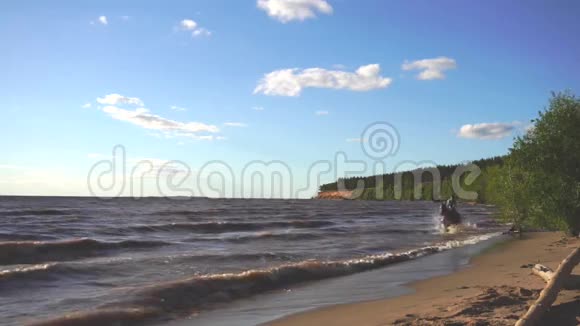 两个女人在落日余晖下在河滩骑马视频的预览图
