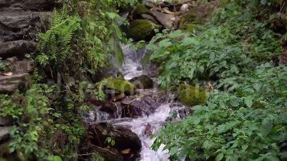 山河瀑布和瀑布在喜马拉雅山流动尼泊尔纯透明水森林溪视频的预览图